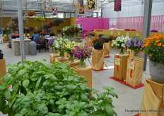 All novelties at PanAmerican - we did not count them but there were many - were like statues places on golden pedestrals.